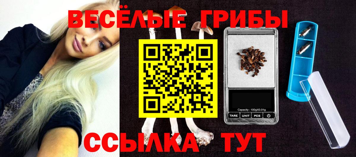Псилоцибиновые грибы Cubensis Туапсе